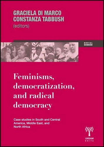 Feminisms Democratization , And Radical Democracy, De Di Marco Graciela. Editorial Universidad De San Martin Edita, Tapa Blanda En Inglés, 2011