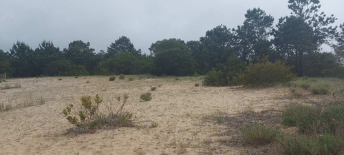 Terreno Muy Alto A La Venta En Punta Del Diablo