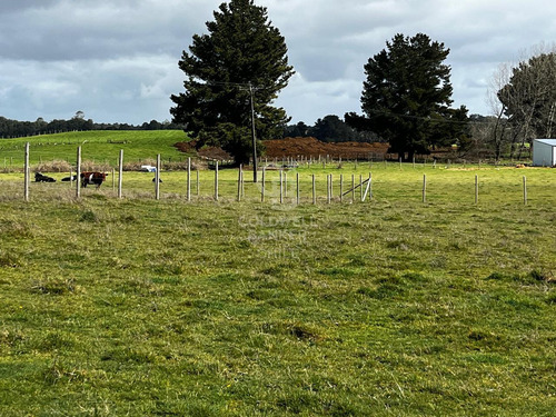 Parcela Puerto Octay Circuito Lago Llanquihue