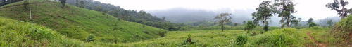Bonita Finca De 168 Has En Yanayacu - La Troncal - Cañar