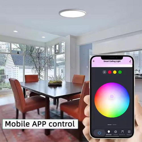 Lámpara De Techo Inteligente Rgbcw Fullcolor Dimming Light A