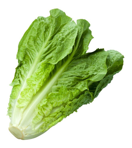 Semilla De Lechuga Parris Island Bolsa 1 Lb