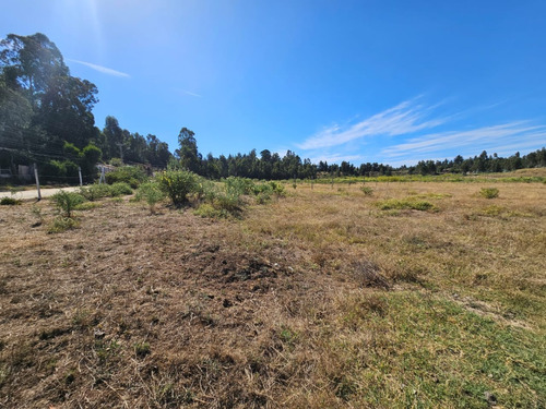 Terreno 1000 M2 / Placilla De Peñuela / Martínez Cruz