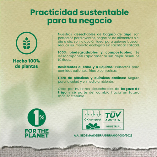 Contenedor Wecare Rectangular 2 Divisiones- 200 Piezas