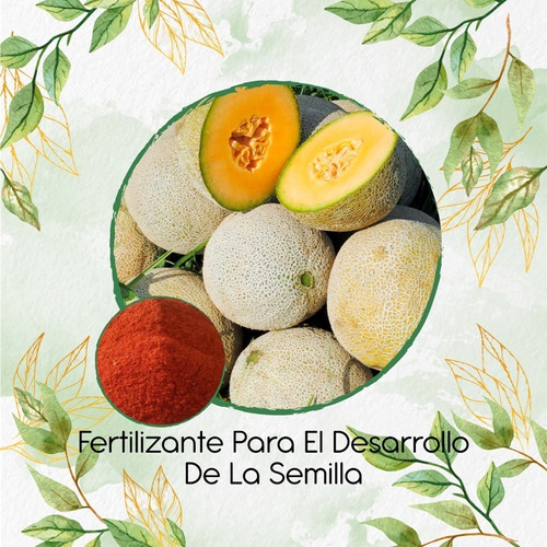 Fertilizante Para El Desarrollo De Melon Edisto 47 