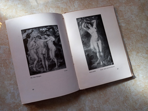 Livro - Rubens (Usado)