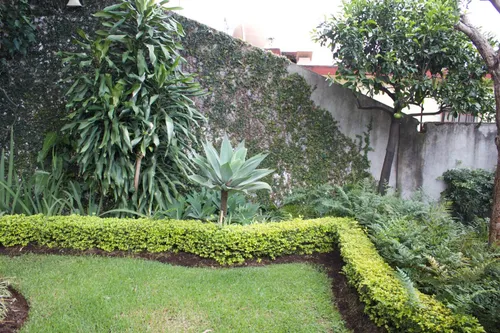 Venta Y Renta De Casa Sola Frente Al Lienzo Charro, Cuernavaca Morelos