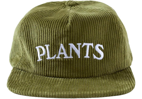 Valley Cruise Press Plants Strapback - Gorra De Pana