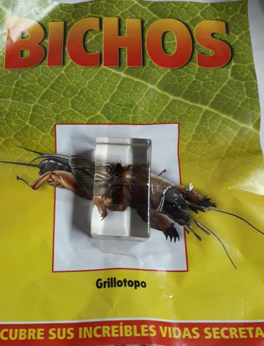Bichos - Grillotopo  + Fascículo - Rba