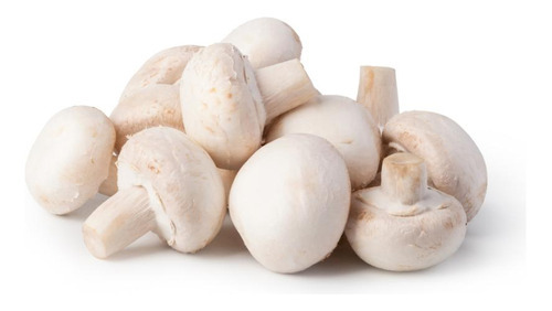 Champignom Cogumelo Atalaia Inteiro Pizza Strogonoff 6kg