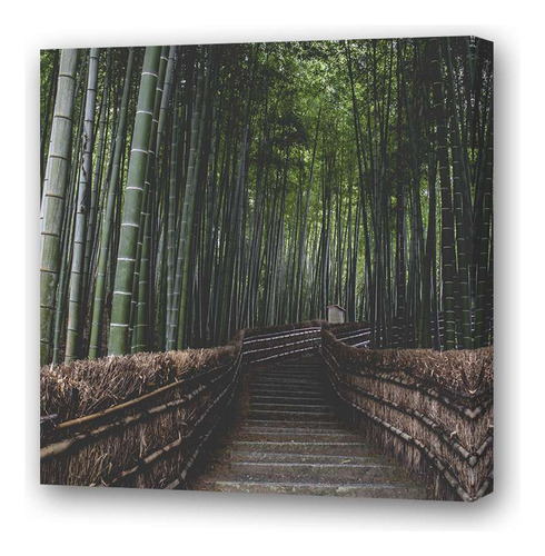 Cuadro 60x60cm Bosque Bambu Japón Entrada Camino