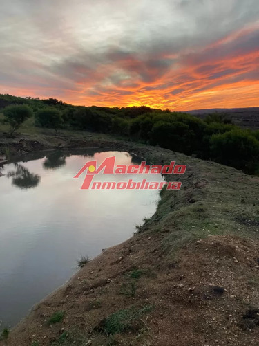 Vendo Hermosa Chacra En Las Cañas.