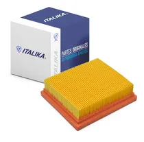 Comprar Filtro De Aire Italika Original Dm150 Dm200 Sort Dm250 X