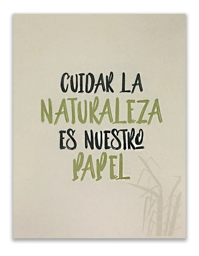 Imagen 5 de 10 de Caja Resma Ledesma Nat A4 75grs Natural X 250 Hojas - Eco