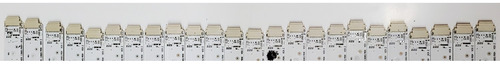 Led's Hisense Rsag7.820.13085/roh Hd550h3u51-t0k1 55'' (Usado)