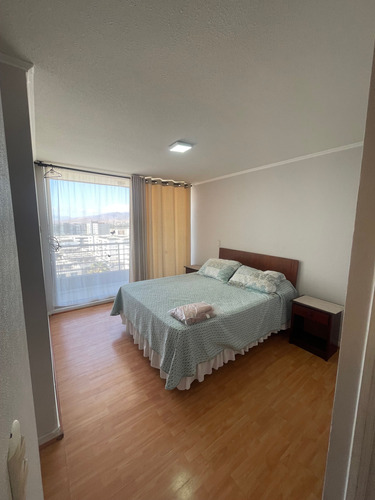 Arriendo Departamento Año Corrido (22272)