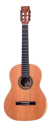 Violão Rozini Rx230 Ac.f.cd Canhoto Custom Acústico