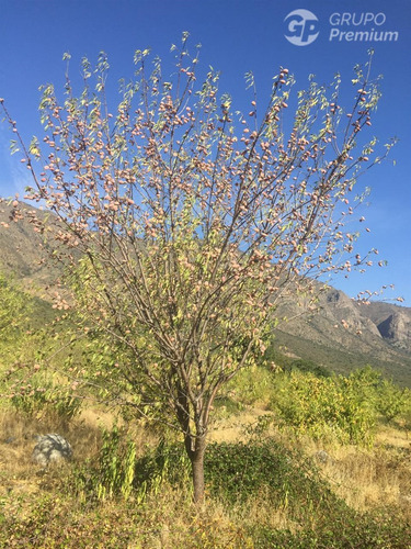 Parcela En Venta En Alhué 45,26 Ha