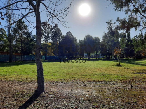 Imagen 10 de 14 de Club De Campos Miralagos Ii