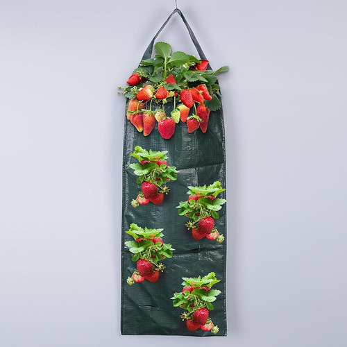 Saco De Cultivo De Morango Saco Prático Para Plantio De