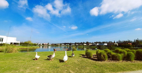 Imagen 15 de 30 de Lote A La Laguna En Venta, Barrio La Comarca, Tigre