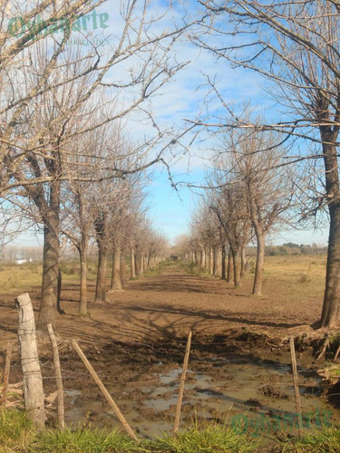 Imagen 6 de 21 de Venta De Campo De 23 Hectáreas En General Rodriguez.