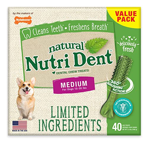 Dental Chew Treats Nylabone Nutri Dent Sabor A Aliento Fresc