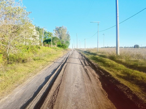 Imagen 3 de 3 de Terreno - Gualeguaychu