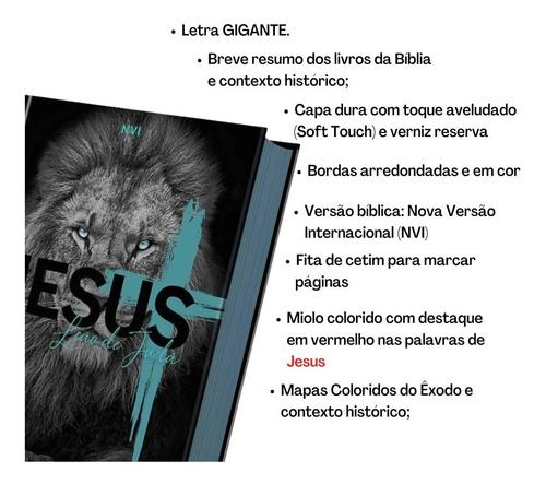 Imagem 3 de 8 de Bíblia Jovem Letra Gigante Versão Nvi Capa Dura