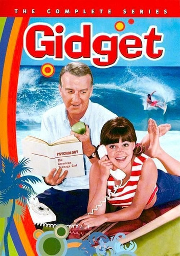 Gidget Serie Completa Dvd