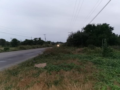 Terreno Venta 1358m² Carr Tuxpan Tamiahua En Tuxpan Veracruz