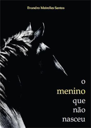 Livro O Menino Que Não Nasceu Evandro Meirelles Santos