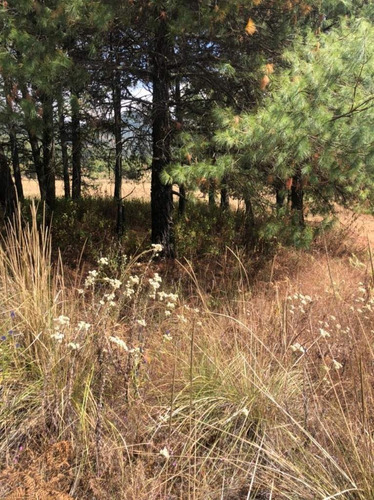 Imagen 18 de 24 de Terreno En Venta En Amanalco De Becerra, Amanalco, Edo. De México.