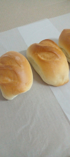 50 Alemancitos Lunch Catering Pan Sin Relleno