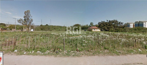 Area Em Tijuca - El50877281