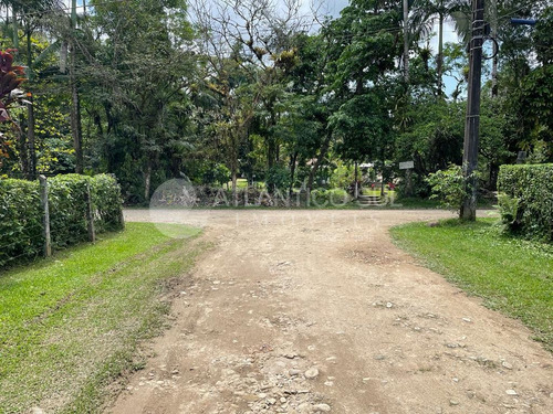 Imagem 19 de 21 de Chácara À Venda, Rio Do Nunes, Antonina - Pr - 775
