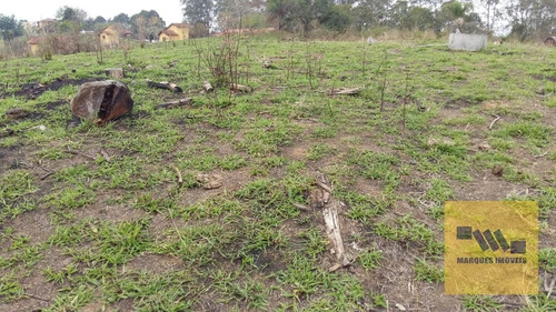 Imagem 10 de 13 de Terreno Em Monte Negro - Santa Isabel - 4041