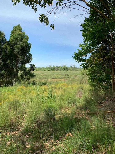 Chacra En El Pinar 10 Hectáreas, Venta