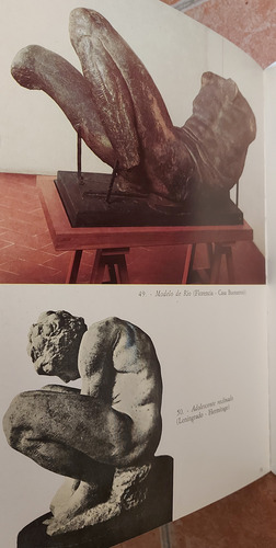 Antiguo Libro Manual Todas Las Obras De Miguel Ángel Italia (Usado)