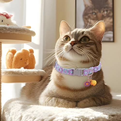 Q Breakaway De Collar De Gato Collares De Gato De Seguridad