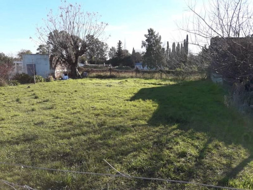 Imagen 3 de 5 de Ñancay Casi Urquiza