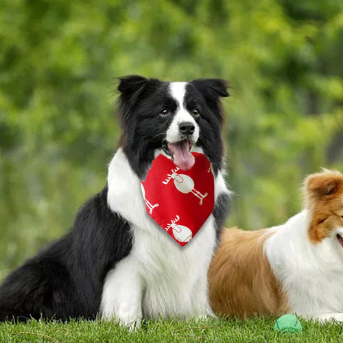 Pañuelo Para Perro, Pañuelo Para Mascotas, Uso Diario