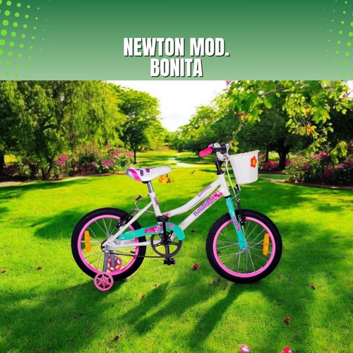 Bicicleta Infantil R16h Newton Mod Bonita Con Canasto Turquesa R16