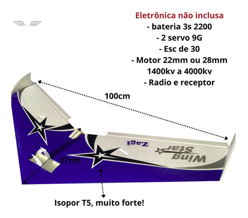 Asa Zagi Wing Star 1mtr Horizon Aeromodelo Isopor T5 Depron Cor Verde