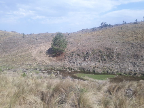 Imagen 3 de 14 de Calamuchita Lote De Montana Costa Agua 1/2 Hectar Desarrollo