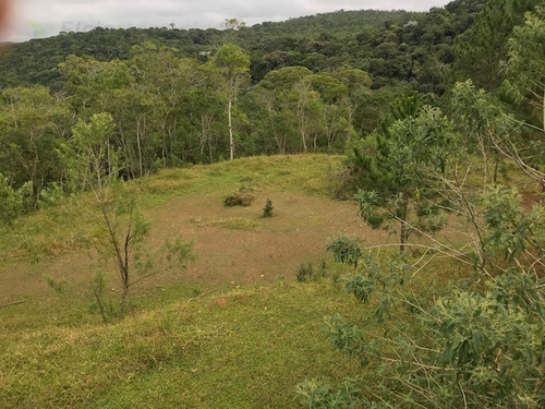 Imagem 11 de 21 de Rural Para Venda, 0 Dormitórios, Dos Pereiras (caucaia Do Alto) - Cotia - 2886