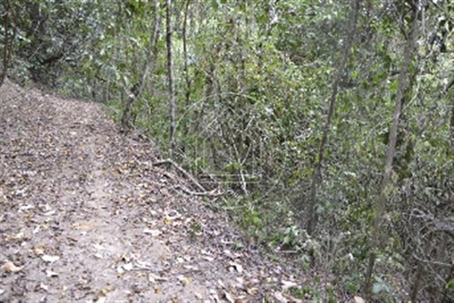 Imagem 10 de 11 de Terreno - Ref: 493988