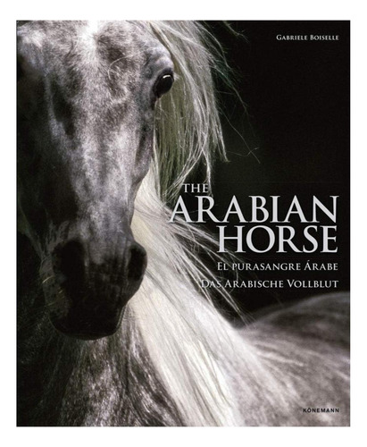 Libro The Arabian Horse (spectacular Places) Lexus 