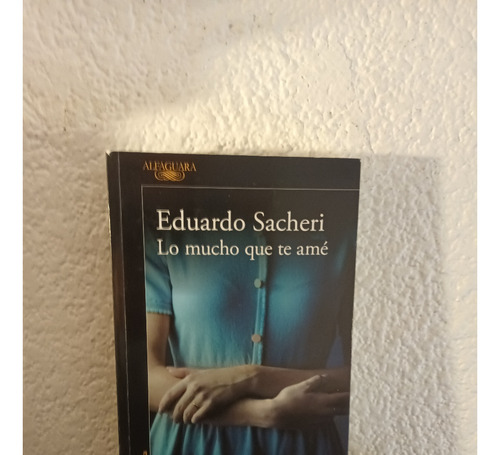 Lo Mucho Que Te Amé - Eduardo Sacheri