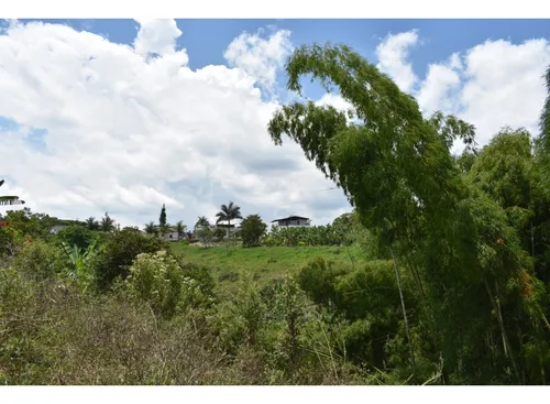 Se Vende Lote En Quimbaya Quindío